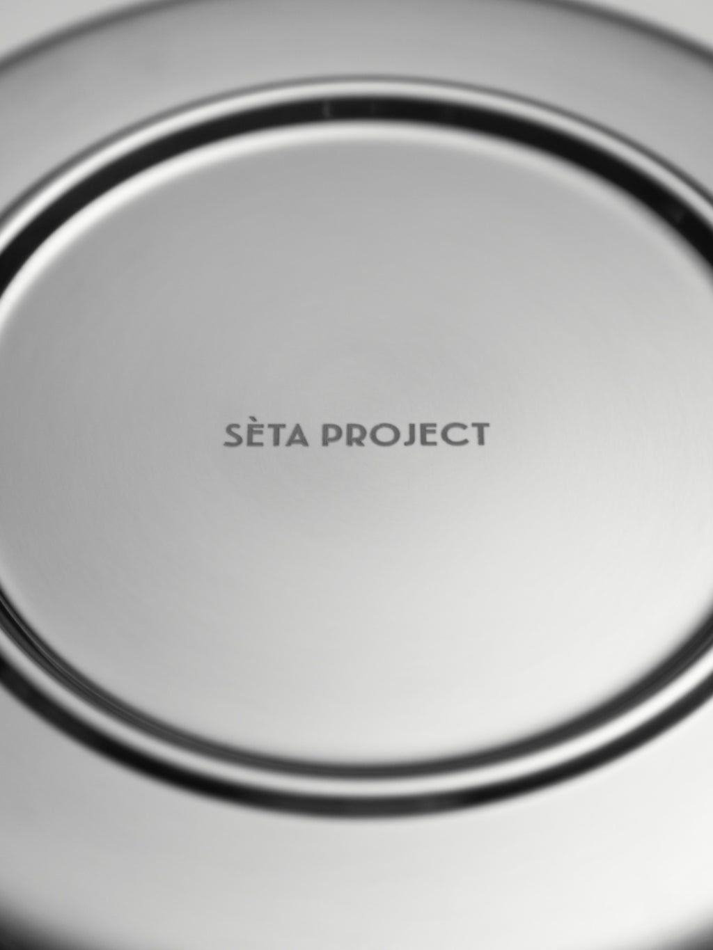 Round stainless steel plate with polished finish and subtle raised rim.